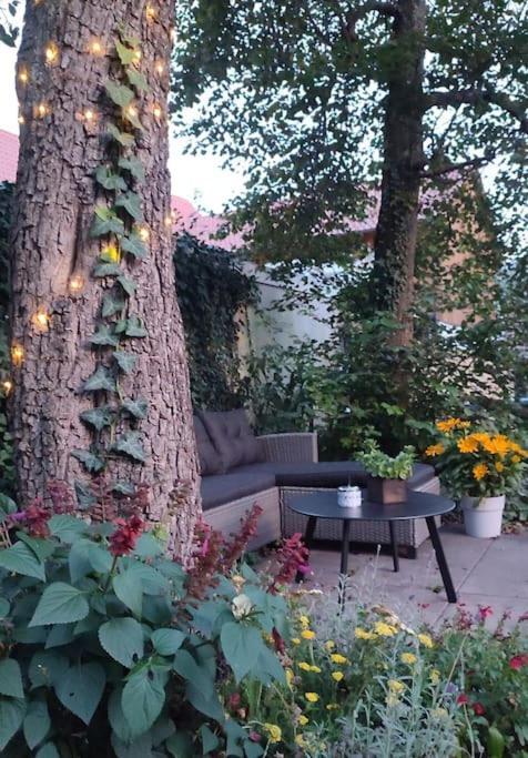 Ferienwohnung Stilvoll Und Gemuetlich - Wohnen Mit Flair Albstadt Exterior foto
